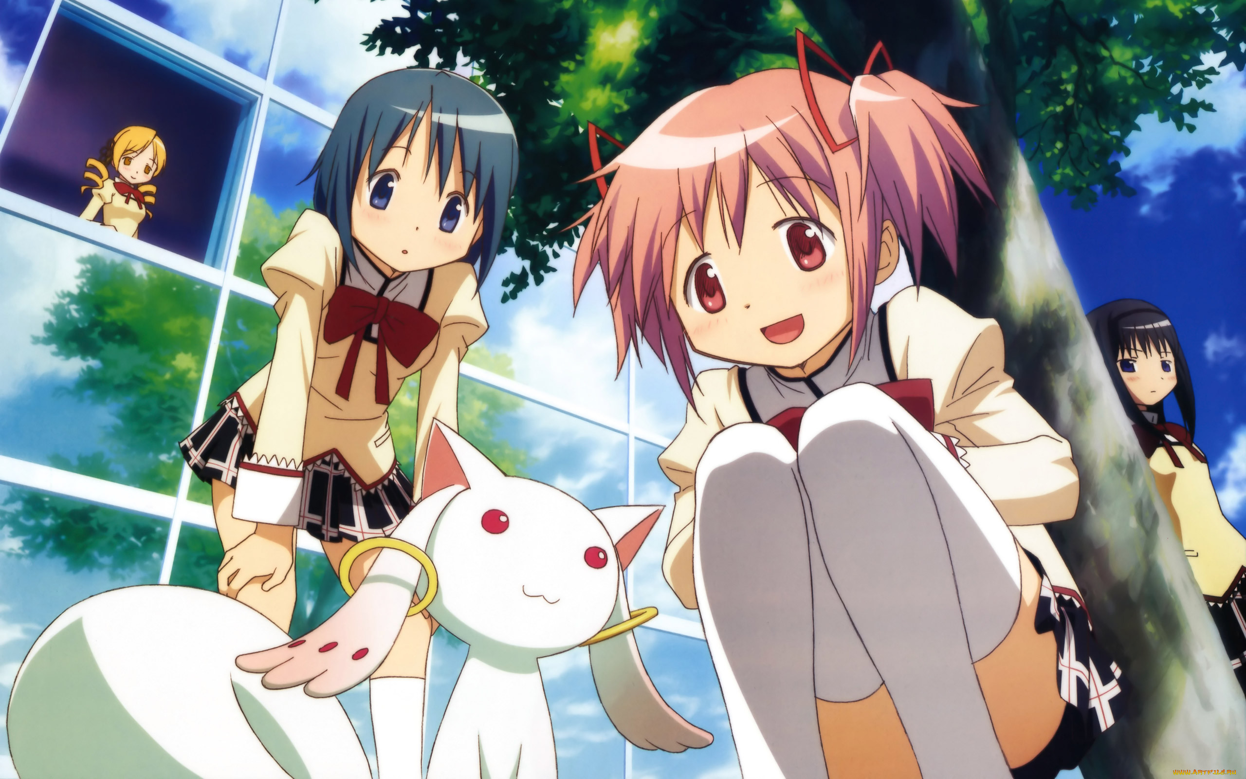 , mahou, shoujo, madoka, magika, 